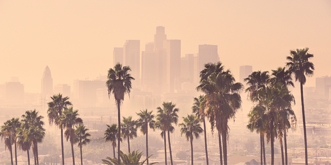 Los Angeles County Funeral Assistance and LowCost Cremation Options